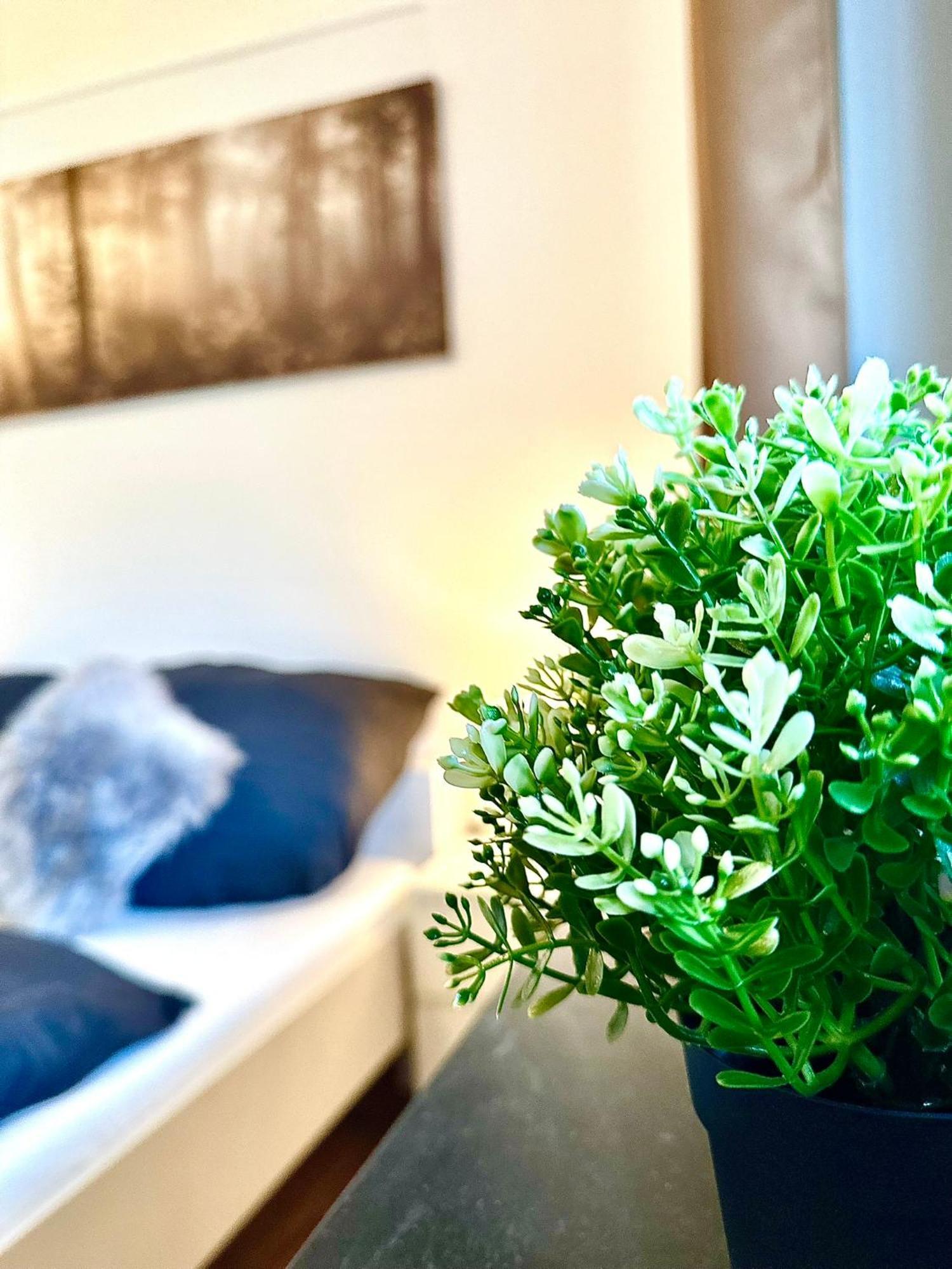 Gemuetliches Alpenblick Berg-Bungalow + Grosser Garten + Netflix! Schofweg Bagian luar foto