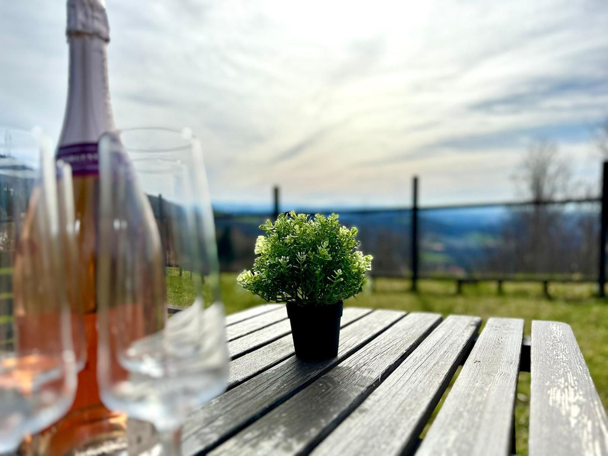 Gemuetliches Alpenblick Berg-Bungalow + Grosser Garten + Netflix! Schofweg Bagian luar foto