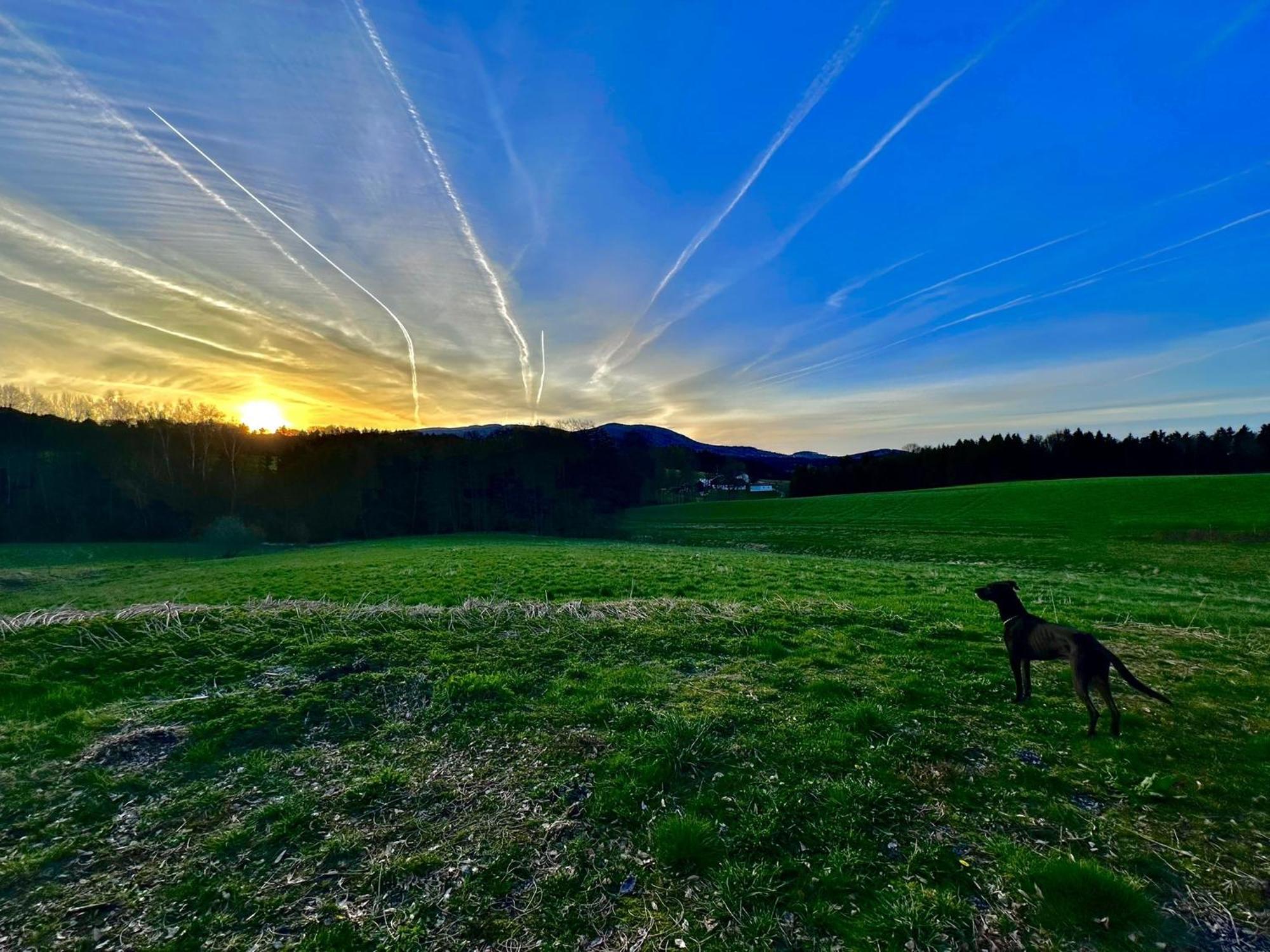 Gemuetliches Alpenblick Berg-Bungalow + Grosser Garten + Netflix! Schofweg Bagian luar foto